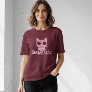 Women’s Stylish Top – Casual & Party Wear